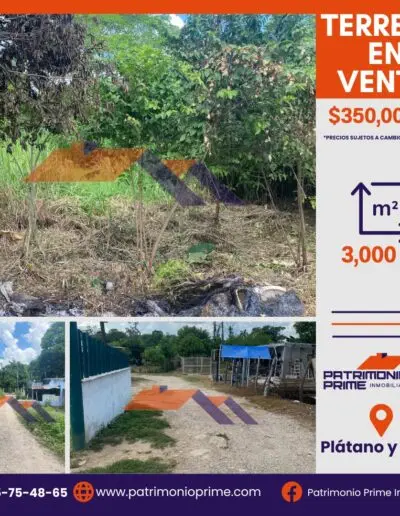 terreno en venta en plátano y cacao Tabasco