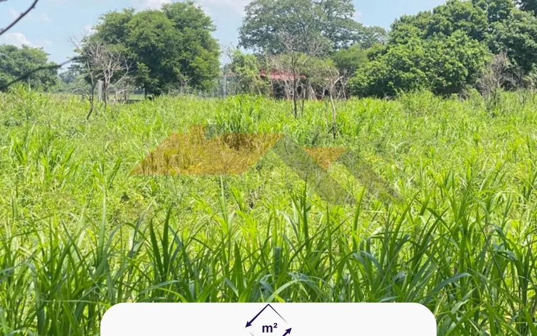 017 Terreno en venta en Zona Parrilla, Tab.